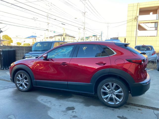 CX-30