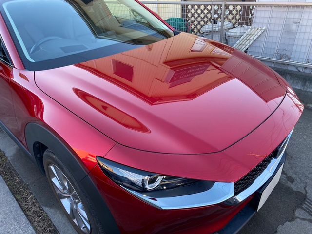 CX-30