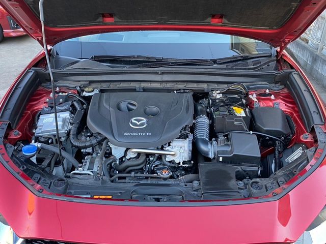CX-30