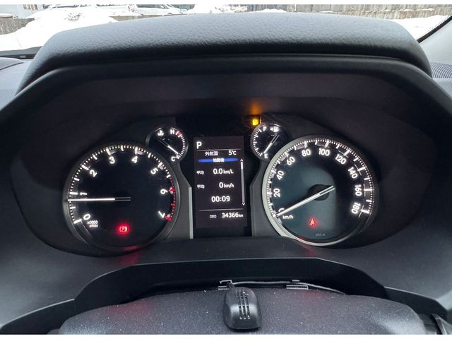LANDCRUISER PRADO