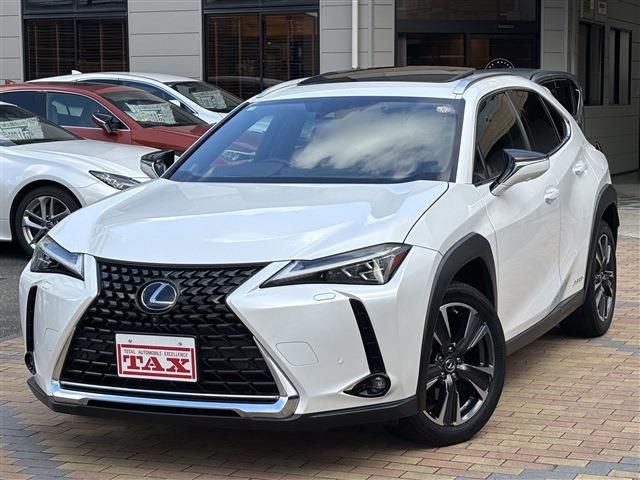 LEXUS UX250h