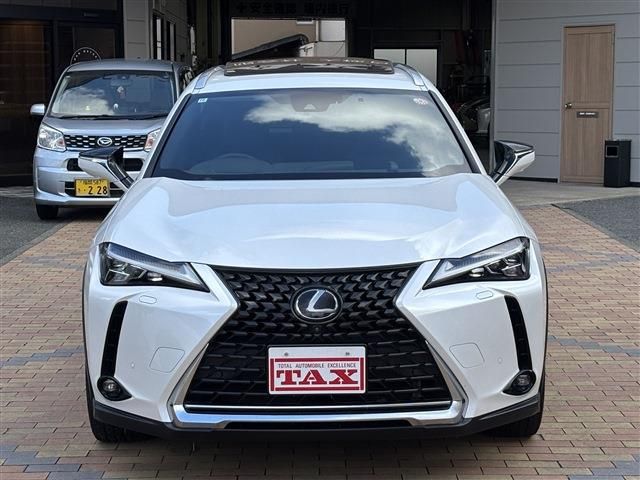 LEXUS UX250h