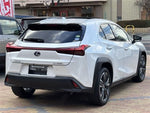 LEXUS UX250h