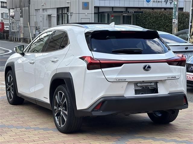 LEXUS UX250h