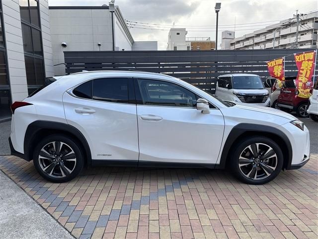 LEXUS UX250h
