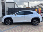 LEXUS UX250h