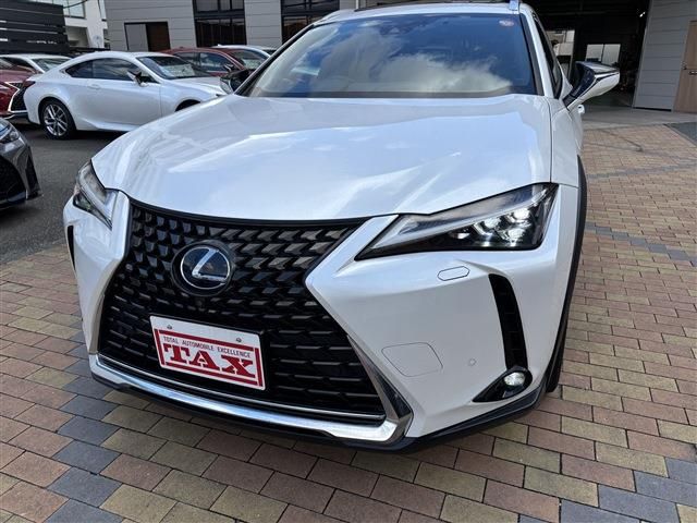 LEXUS UX250h