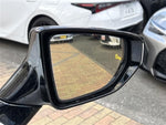 LEXUS UX250h