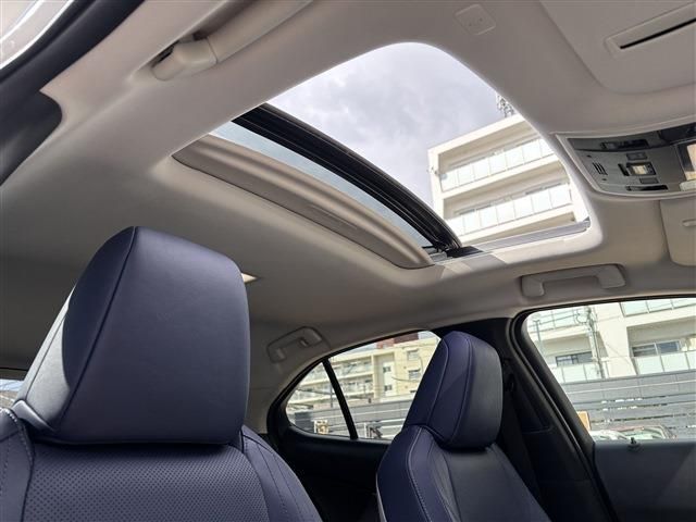 LEXUS UX250h