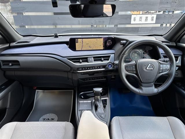 LEXUS UX250h
