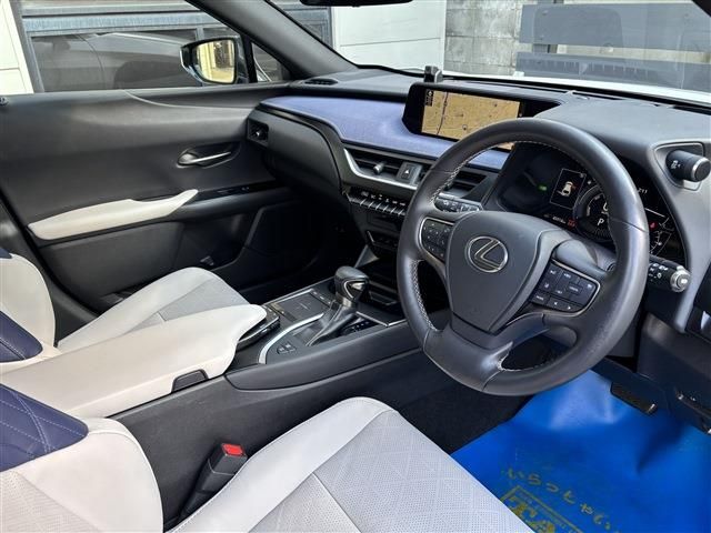 LEXUS UX250h