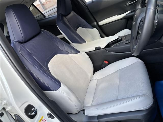 LEXUS UX250h