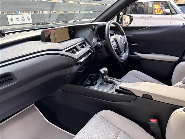 LEXUS UX250h