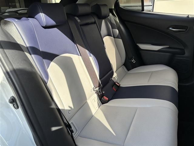 LEXUS UX250h