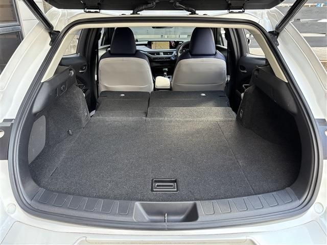 LEXUS UX250h