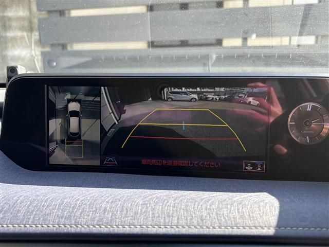 LEXUS UX250h