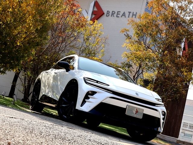 CROWN SPORT