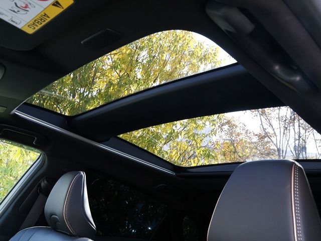 CROWN SPORT
