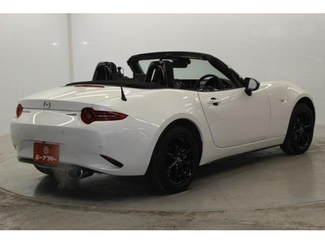 ROADSTER