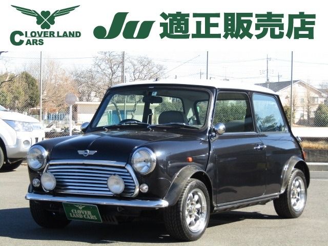 ROVER MINI