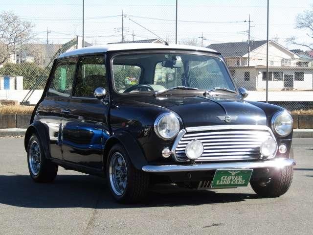 ROVER MINI