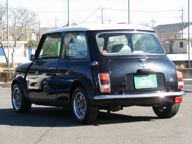 ROVER MINI