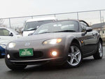 ROADSTER