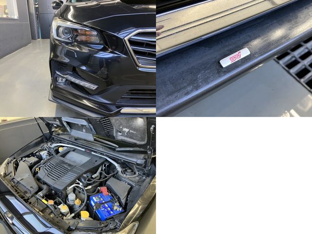 LEVORG