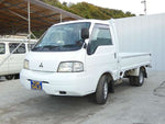 DELICA truck 2WD