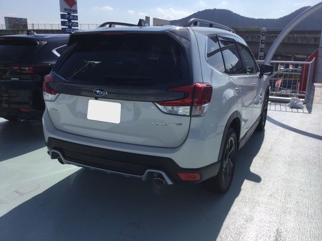 FORESTER