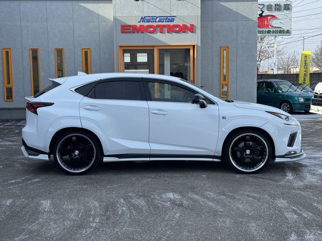 LEXUS NX300 AWD