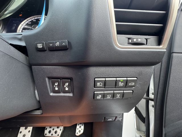 LEXUS NX300 AWD