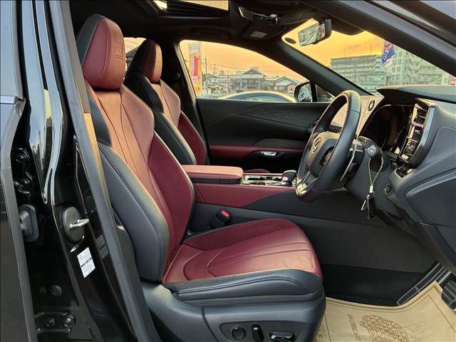 LEXUS RX500h