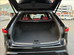 LEXUS RX500h