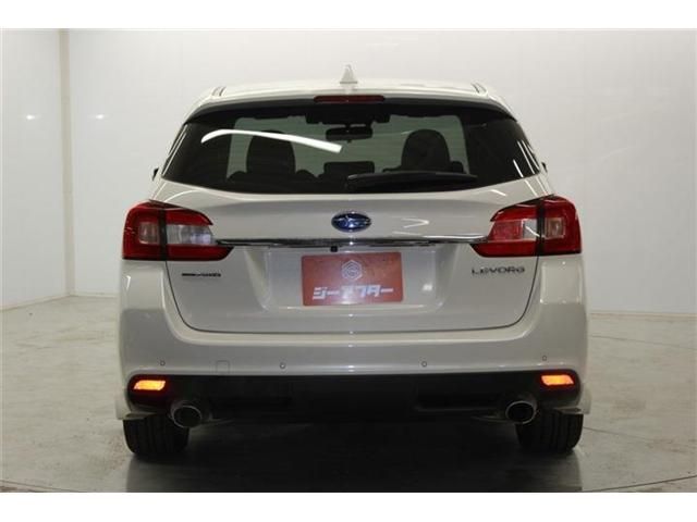 LEVORG