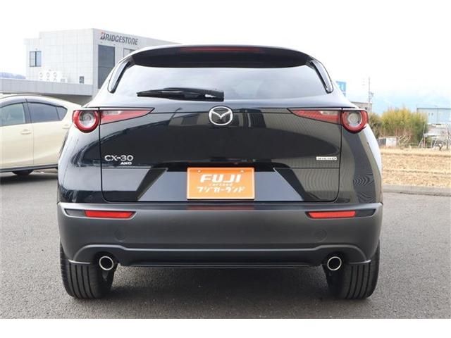 CX-30