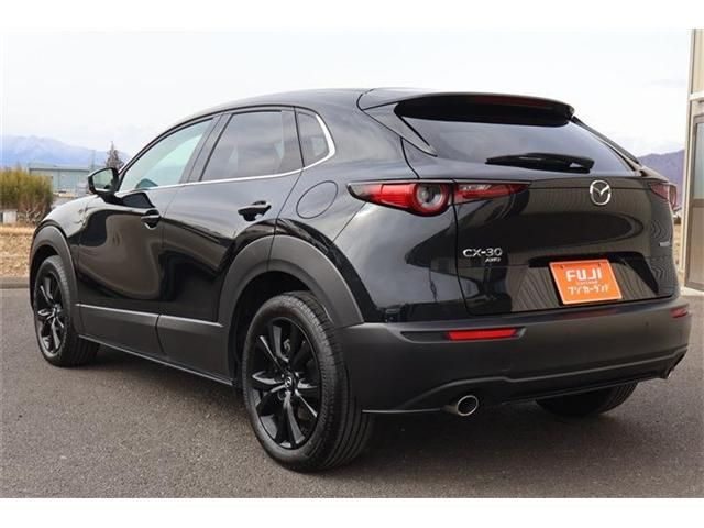 CX-30