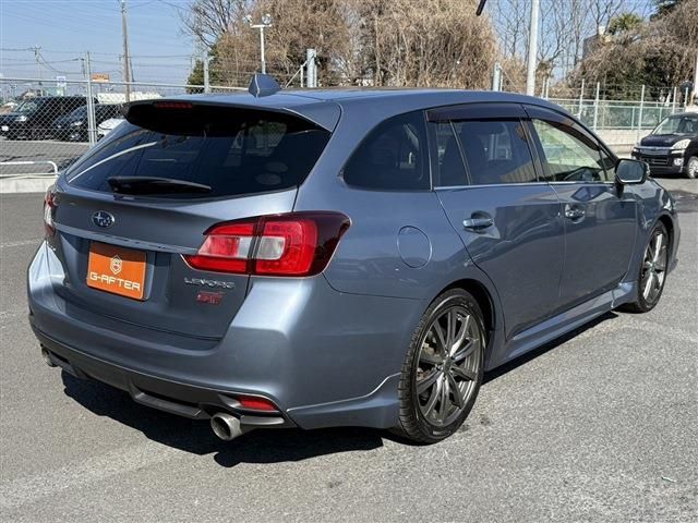LEVORG