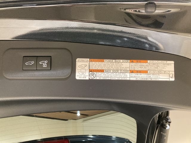 LEXUS NX350h