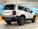 LANDCRUISER 250