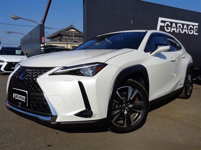 LEXUS UX250h