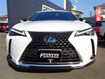 LEXUS UX250h