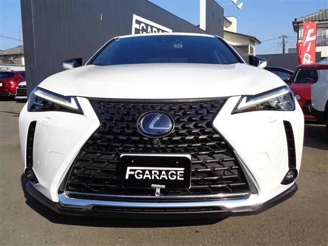 LEXUS UX250h