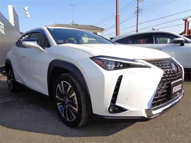 LEXUS UX250h