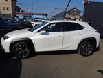 LEXUS UX250h