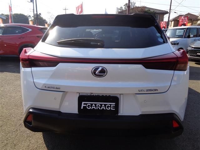 LEXUS UX250h