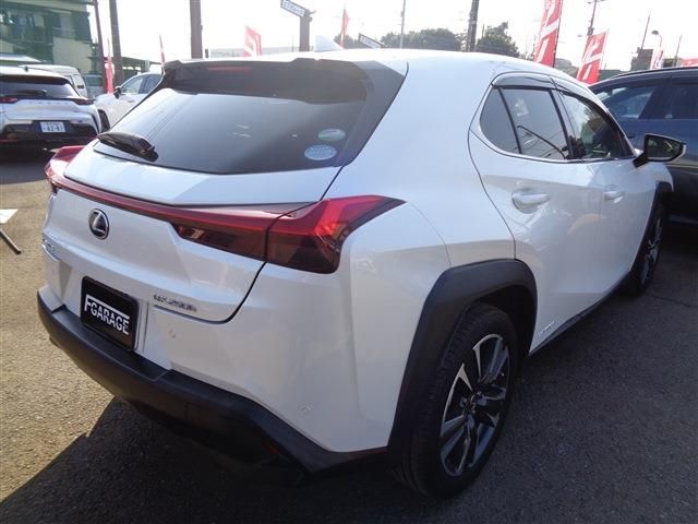 LEXUS UX250h