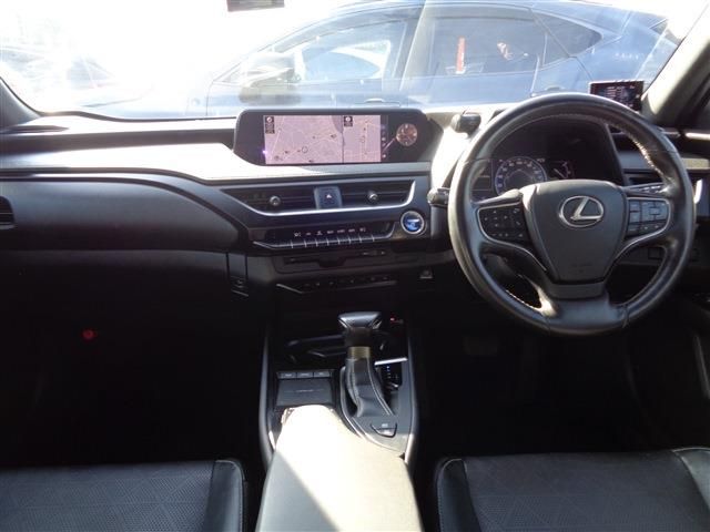 LEXUS UX250h
