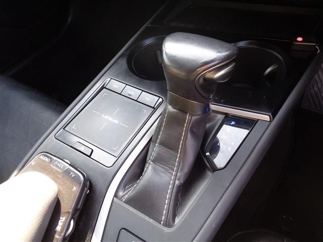 LEXUS UX250h