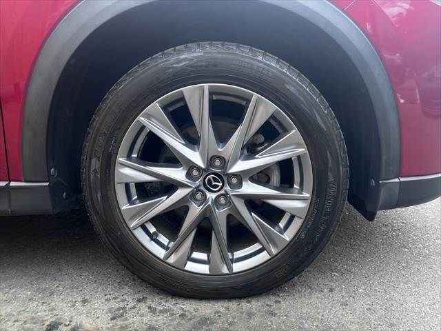 CX-8